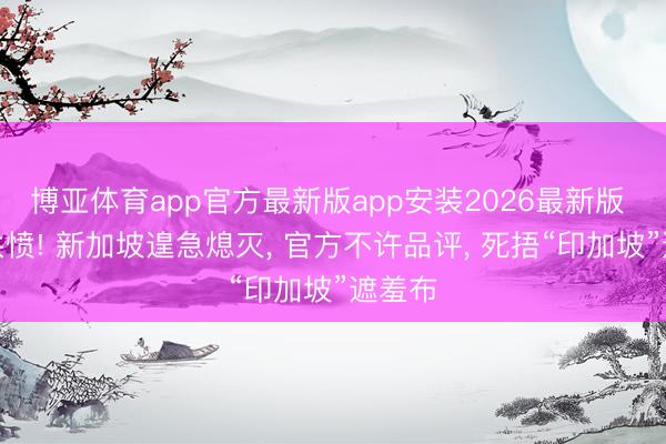 博亚体育app官方最新版app安装2026最新版 人神共愤! 新加坡遑急熄灭, 官方不许品评, 死捂“印加坡”遮羞布