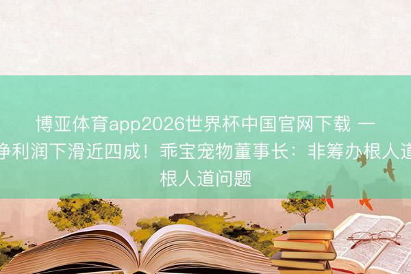 博亚体育app2026世界杯中国官网下载 一季度净利润下滑近四成!乖宝宠物董事长:非筹办根人道问题
