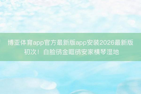 博亚体育app官方最新版app安装2026最新版 初次！白脸鸻金眶鸻安家横琴湿地